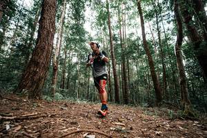 BIB: 
                            <button type="button" onclick="openModal(25261303)" class="btn btn-primary btn-sm float-right btn-popup" data-toggle="modal" data-target=".modal-high-quality">
                        <i class="fas fa-shopping-cart"></i> Add to Cart
                    </button>
                                            <button type="button" onclick="isThisMe(25261303, true)" class="btn btn-success btn-sm float-right btn-popup btn-isme hidden" data-toggle="tooltip" data-placement="bottom" title="นี่คือรูปของคุณใช่ไหม คลิกที่นี่เพื่อเอาเข้าอัลบั้ม">
                        <i class="fas fa-plus"></i> Add to album
                    </button>
                    <button type="button" onclick="isThisMe(25261303, false)" class="btn btn-warning btn-sm float-right btn-popup btn-isnotme hidden">
                        <i class="fas fa-ban"></i> Remove from album
                    </button>